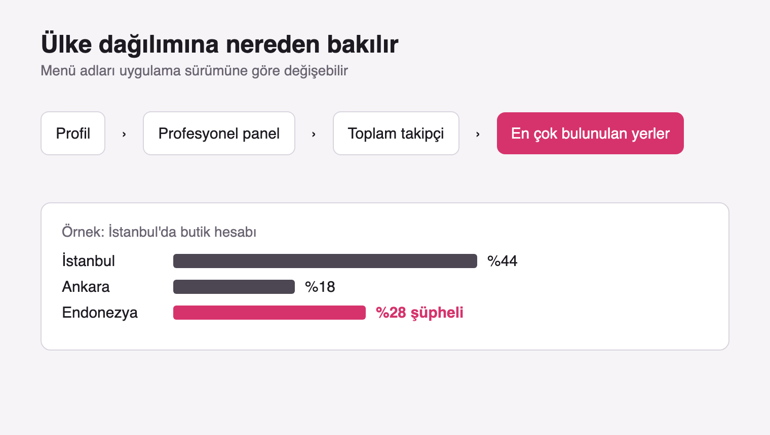 Profesyonel panelde takipçi ülke dağılımına giden menü yolu ve örnek dağılım